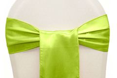 Picture of Sashe 6X108 - Apple Green (Satin )