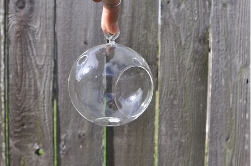 Picture of Hanging Votive (Glass Ball) 4" - Clear