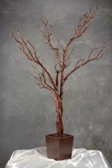 Picture of Wedding Tree 48" - Brown