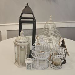 Picture for category Lanterns & Bird Cages - Rentals