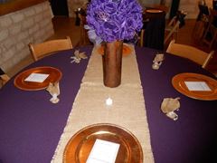 Picture of Table Cloth 120 - Eggplant (Poly Round)