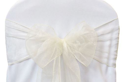 Picture of 8X108 - Ivory (Organza )