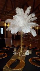 Picture of Vase (Ostrich Feather Centerpiece)  - White