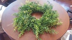 Picture of Decor (Small Boxwood Wreath) 12 - Green
