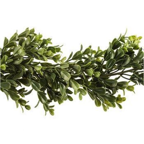 Picture of Decor (Boxwood Garland) 5 - Green