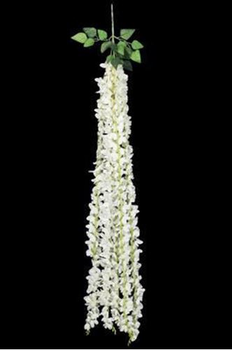 Picture of Backdrop (Hanging Orchids)  - White