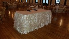 Picture of Table Skirt 14 - Ivory (Curly willow )