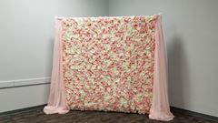Picture of Backdrop (Hydrangea Rose) 8X8 - Blush