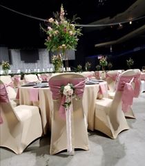 Picture of Chair Cover - Champagne (Stretch Banquet)