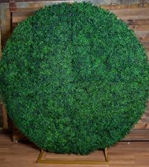 Picture of Backdrop (Boxwood Round Arch) 6ft - Green
