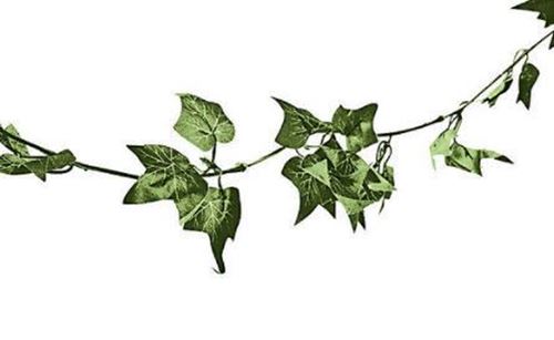 Picture of Decor (Ivy Garland)  - Green