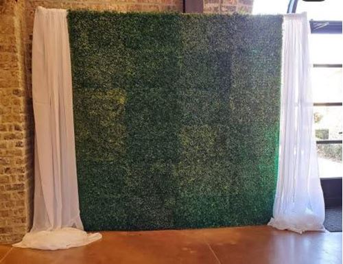 Picture of Backdrop (Boxwood)  - Green