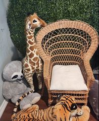 Picture of Decor (Safari Jungle Stuffed Animals)  Package