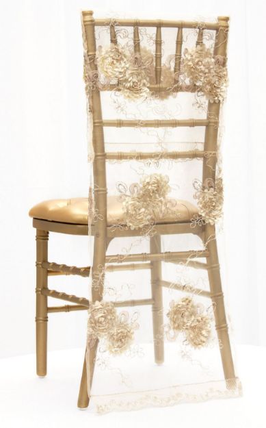 Picture of Chiavari - Champagne (Organza )