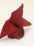 Picture of Napkin 20X20 - Burgundy (Poly Square)