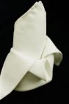 Picture of Napkin 20X20 - Ivory (Poly Square)