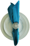 Picture of Napkin 20X20 - Peacock (Satin Square)