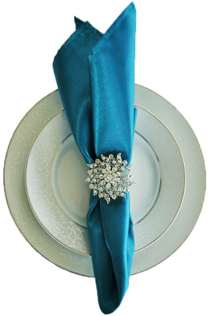 Picture of Napkin 20X20 - Peacock (Satin Square)