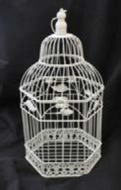Picture of Decor (Birdcage, for cards) 19X10 - Ivory