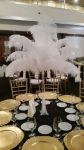 Picture of Decor (Ostrich Feather) 18"-22"L - White