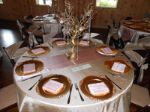 Picture of Runner 12X108 - Blush (Satin )