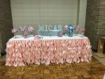 Picture of Table Skirt 17 - Blush (Curly willow )