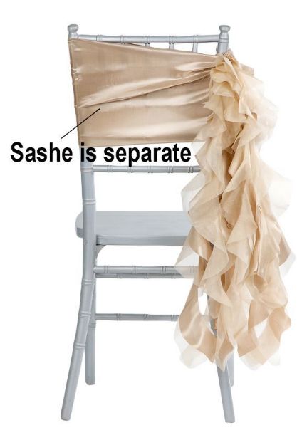 Picture of Sashe 30 - Champagne (Curly willow )