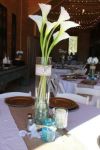 Picture of Vase (Cylinder) 20x4 - Clear
