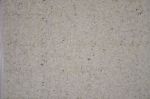 Picture of Backdrop (Silk hydrangea flower) 8X8 - Off white