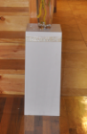 Picture of Column (10X10 base) 24" - White