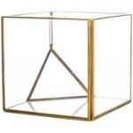Picture of Vase (Square Cube Terrarium) 6X6 - Gold