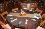 Picture of Table Cloth 120 - Chocolate (Poly Round)