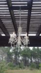 Picture of Chandelier (with Jewels)  - White