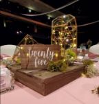 Picture of Vase (Tall Geometric Terrarium) 5X10 - Gold