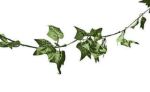 Picture of Decor (Ivy Garland)  - Green