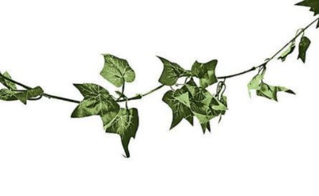 Picture of Decor (Ivy Garland)  - Green