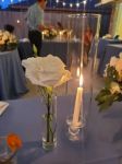 Picture of Vase (Cylinder Bud)  - Clear