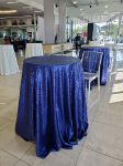 Picture of 120 - Navy (Glitz sequin Round)