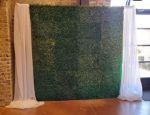 Picture of Backdrop (Boxwood)  - Green
