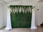 Picture of Backdrop (Boxwood)  - Green
