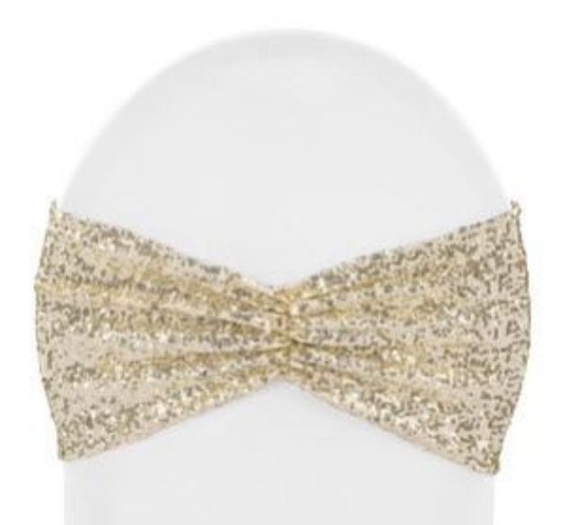 Picture of Champagne (Sequin Band)