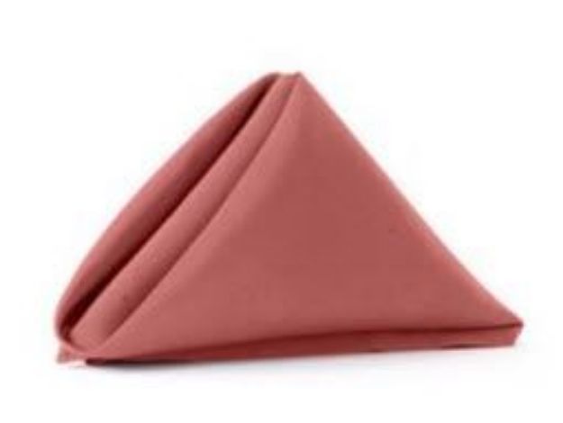 Picture of Napkin 20X20 - Cinnamon Rose (Lamour satin )