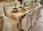 Picture of Chair Cover Ivory (Stretch Folding)