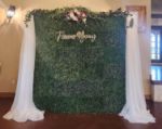 Picture of Backdrop (Boxwood)  - Green
