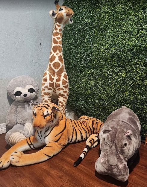 Picture of Decor (Safari Jungle Stuffed Animals)  Package