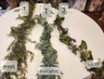 Picture of Decor (Moss Garland) 6 - Green